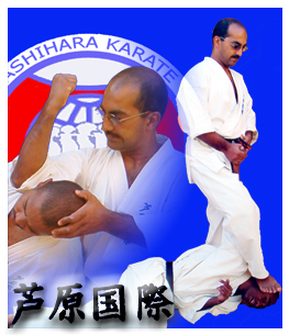 Montage1_copy