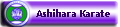 Ashihara Karate