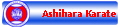 Ashihara Karate